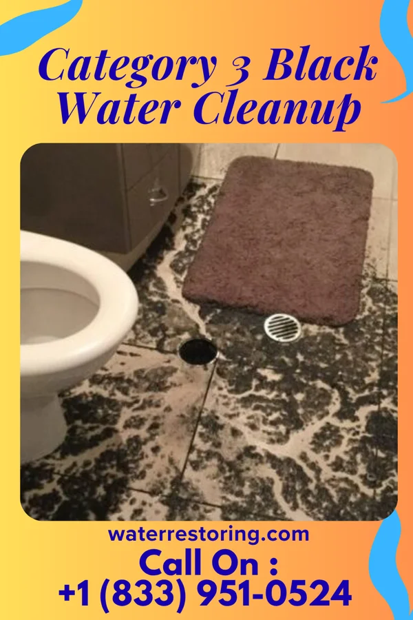 Category 3 Black Water Cleanup in Mercerville, NJ