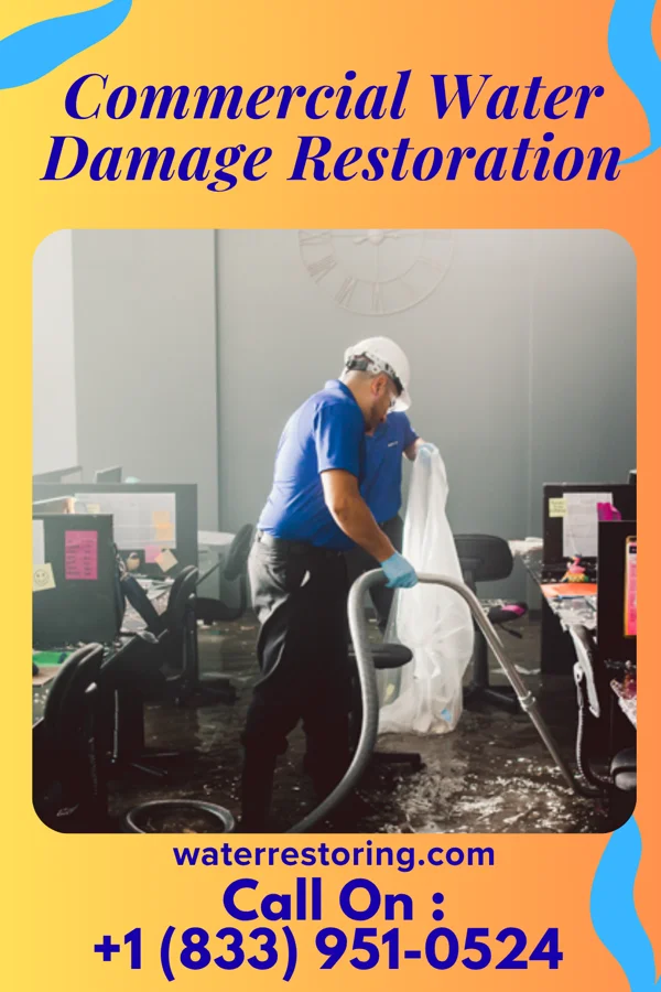 Commercial Water Damage Restoration in Mercerville, NJ