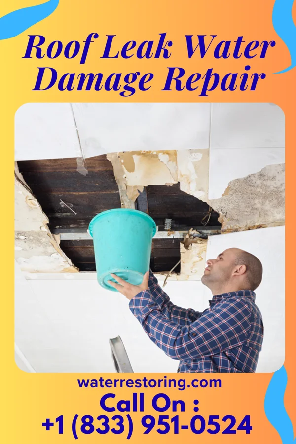 Roof Leak Water Damage Repair in Mercerville, NJ