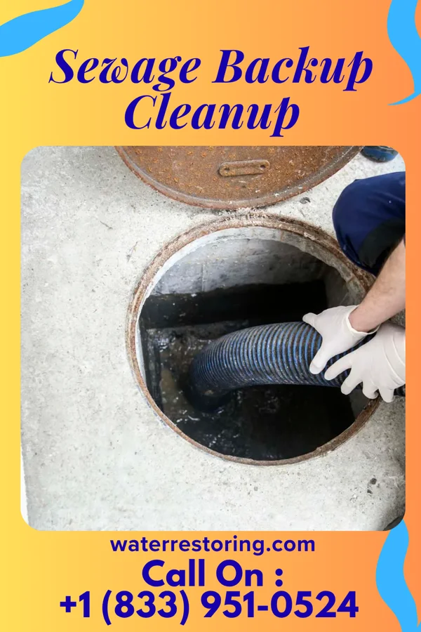 Sewage Backup Cleanup in Mercerville, NJ