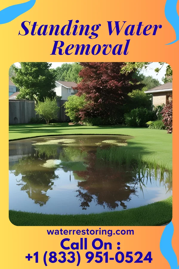 Standing Water Removal in Mercerville, NJ